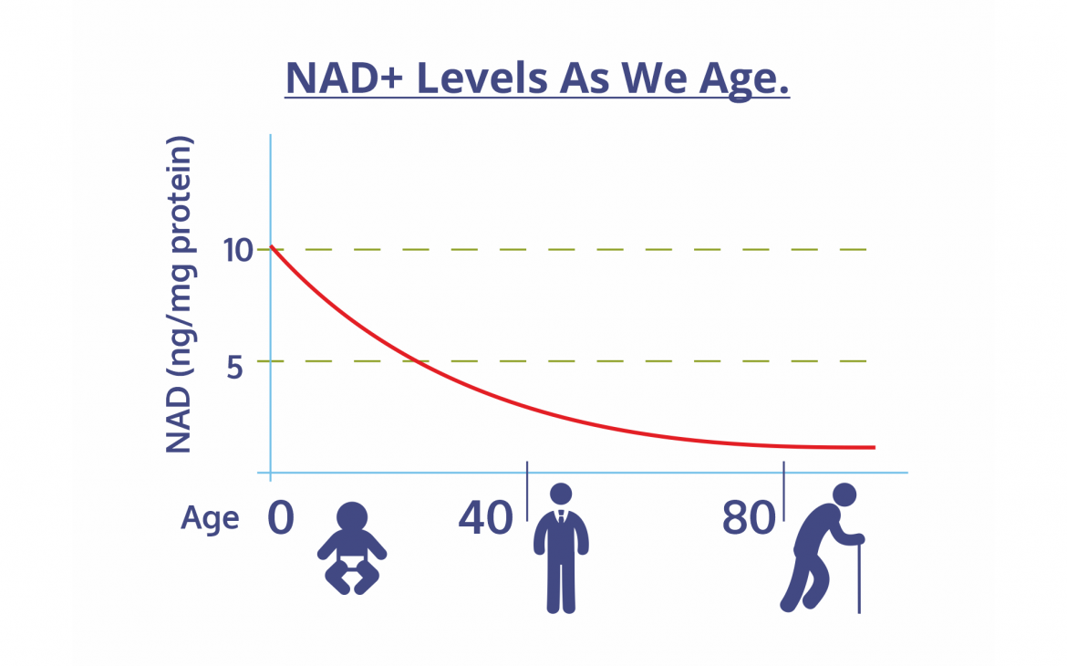 NAD+ là gì và tầm quan trọng của việc bổ sung NAD+ cho cơ thể