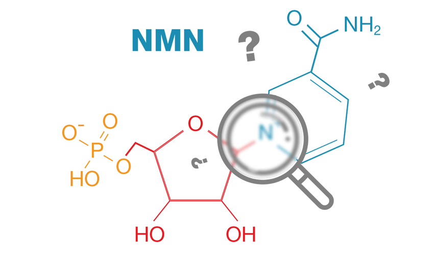 MNM là gì và công dụng đặc biệt của NMN