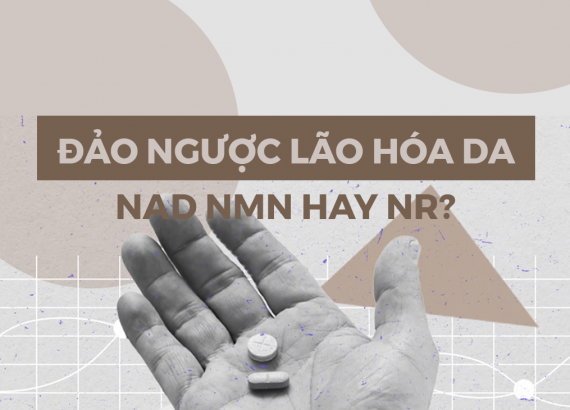 NMN NAD và NR - sự khác biệt trong cơ chế tái sinh da