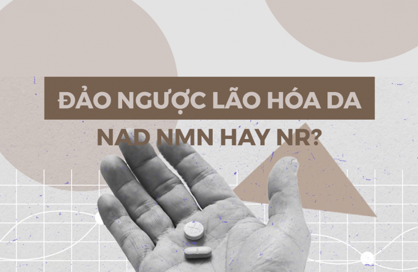 NMN NAD và NR - sự khác biệt trong cơ chế tái sinh da